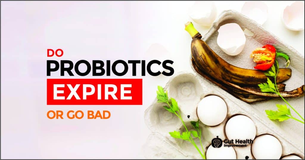 How Often Should You Rotate Probiotics? (GUIDE) Gut Health